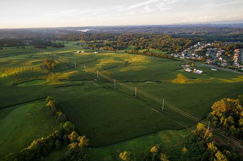 golf course green grass during daytime grassland